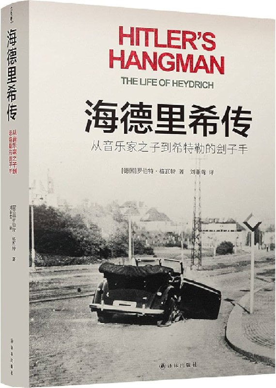 名称：《海德里希传从音乐家之子到希特勒的刽子手 》亮点：揭秘海德里希如何从音乐世家走向纳粹核心，展现其复杂人性与历史罪责