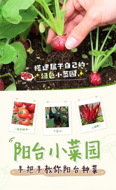 《阳台种植课程蔬菜 水果 绿植盆栽教程（家庭园艺+免费视频+种植技术）》免费视频教学，轻松掌握家庭园艺技巧，种植蔬菜水果绿植，打造专属阳台花园！️ #家庭园艺 #阳台种植教程 #免费视频教学 #种植技术 #绿植盆栽 2025-09-17 00:28:17🔗 