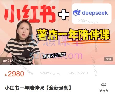 《小红书一年陪伴课》一年陪伴，从小白到高手！专业导师手把手教学，助你快速掌握小红书运营技巧，轻松涨粉变现