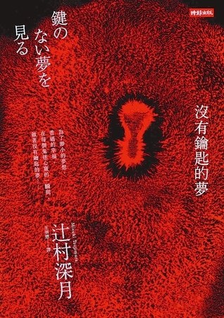 《没有钥匙的梦》一场关于自由与束缚的心灵之旅，带你探索内心深处的渴望与挣扎