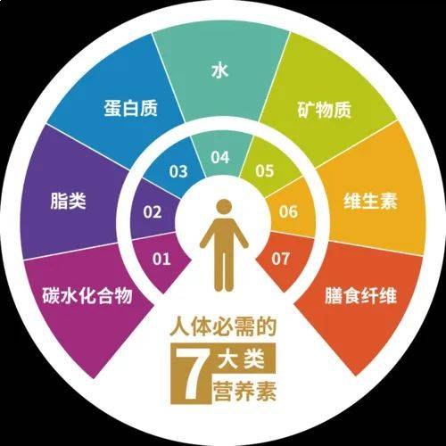 名称：《人体必需营养素大全》亮点：全面解析人体必需营养素，科学搭配助力健康生活，一本掌握营养关键标签：#健康营养 #人体必需营养素大全 #养生必备更新日期：2025-06-21 04:19:25链接：