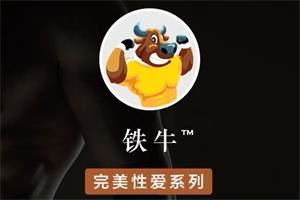 《铁牛系列课程（国内）》铁牛系列课程带你掌握国内前沿技能，实战与理论结合，助你快速提升专业能力