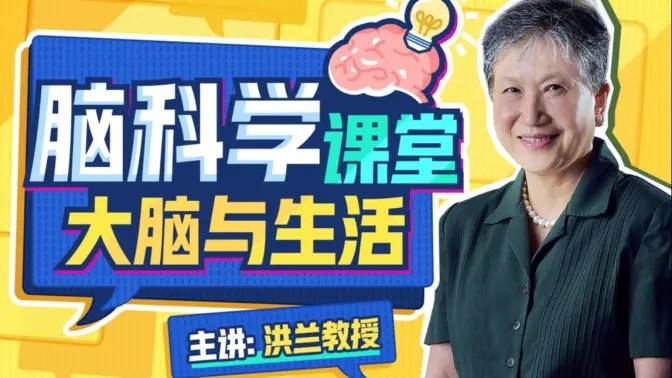 《洪兰脑科学课堂-大脑与生活》洪兰教授以生动脑科学解析日常生活，助你优化思维习惯与亲子教育，提升学习与工作效率