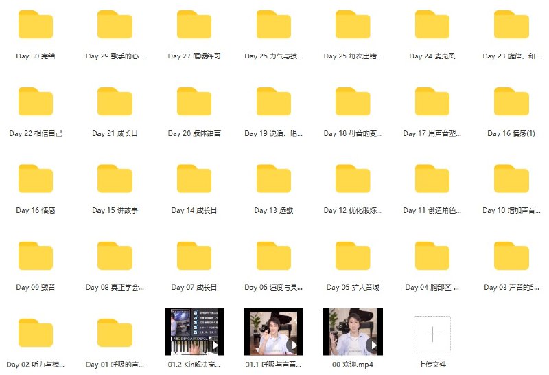 《王力宏线上唱歌教程 》王力宏亲授唱歌秘籍，线上指导发音技巧与情感表达，快速提升演唱水平，轻松掌握专业唱法