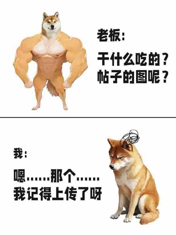 《宋时归双播：白色小摩托&大前也 2042集完 》双播声线碰撞，再现宋时归热血征程！白色小摩托与大前也携手演绎2042集完整版，沉浸体验乱世豪情