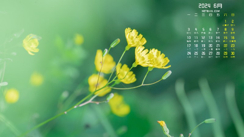 《壁纸6》精选高清壁纸，6种风格满足不同场景需求，让你的设备焕然一新️ #高清壁纸 #壁纸6 #手机电脑通用 2025-07-04 23:30:16🔗 