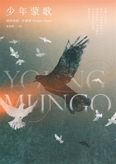 《少年蒙歌》少年视角下的历史悲歌，以纯净笔触勾勒战争创伤，展现勇气与成长的动人篇章