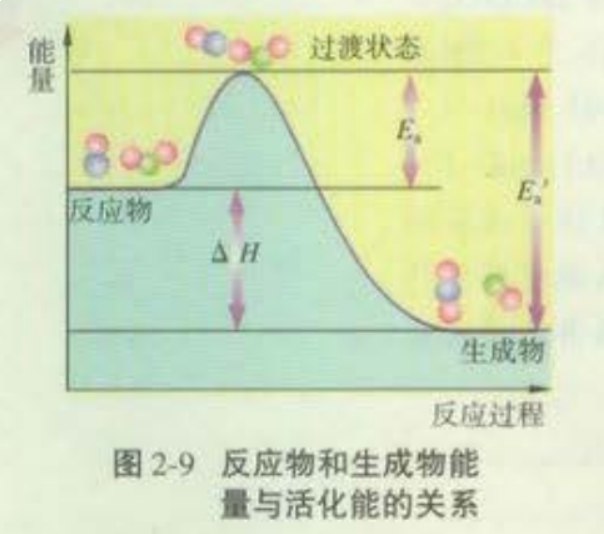名称：《高三化学催化剂与反应历程专题突破》亮点：深入解析催化剂作用机制，结合典型例题突破反应历程难点，助力高考化学高分