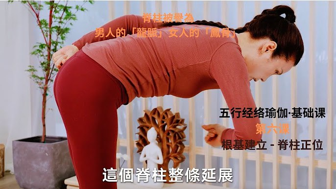 《瑜伽课程合集》精选多种流派课程，适合不同水平练习者，助你提升柔韧性、力量与内心平静，随时随地开启健康生活