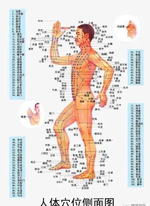 《杏林医学苑 穴位一病一讲，轻松自学人体250个穴位》一穴一病精讲，轻松掌握250个穴位，自学中医不求人，实用高效易上手