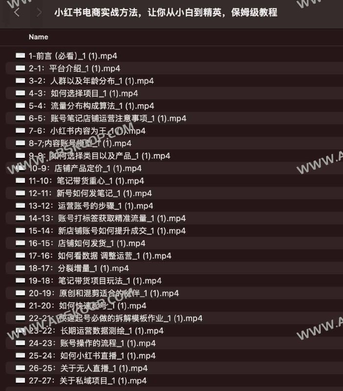 《小红书电商实战方法，让你从小白到精英，保姆级教程》手把手教学，从零开始掌握小红书电商运营技巧，快速提升销量，实现从入门到精通的转变