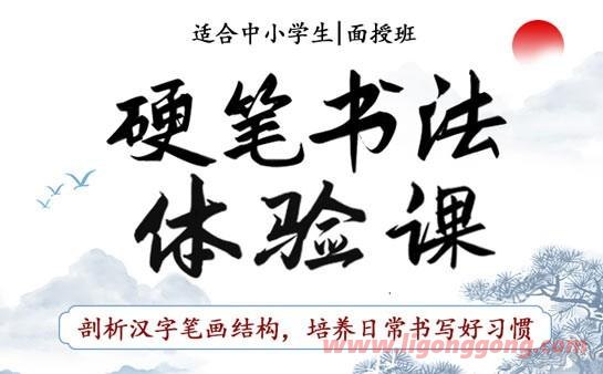 《最用心全面的VIP硬笔书法课程》专业导师一对一指导，系统提升书写技巧，从基础笔画到章法布局，助你轻松写出漂亮字