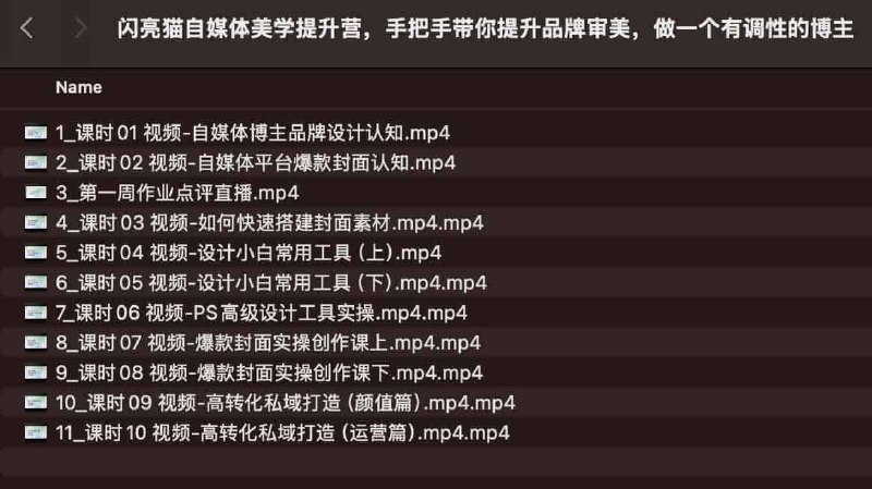 《闪亮猫自媒体美学提升营，手把手带你提升品牌审美，做一个有调性的博主》从0到1提升你的视觉表达，系统掌握美学底层逻辑，让品牌质感飞跃，脱颖而出成为高辨识度博主