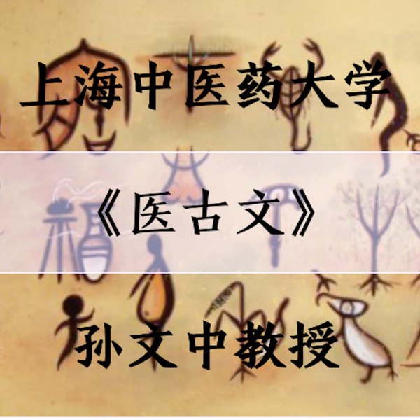 《医古文-上海中医药大学》深入解析中医经典，结合现代教学需求，助力学生掌握医古文精髓，提升传统文化素养