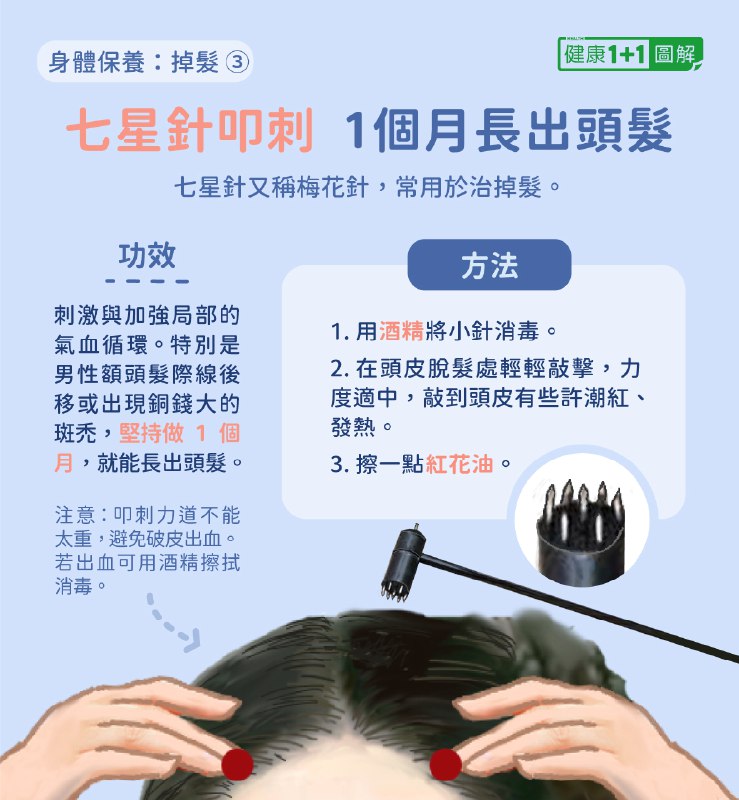 《脱发防治教程中医调理+护发技巧》中医调理结合护发技巧，科学防治脱发，助你重拾浓密秀发，从内到外焕发健康活力