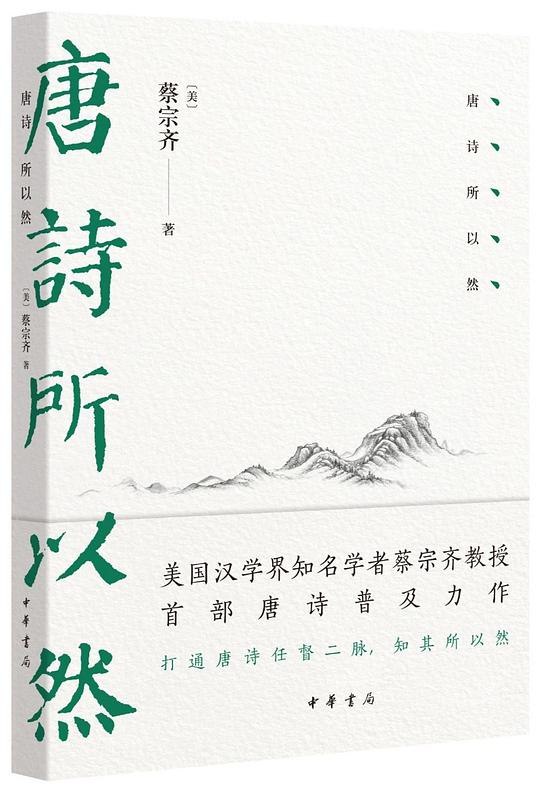 《唐诗所以然》深入解析唐诗魅力，探寻诗句背后的文化密码与创作智慧，带你领略古典诗歌的深邃世界