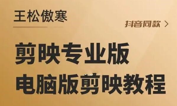《王松傲寒剪映专业版教学》从零基础到剪辑高手，系统讲解剪映专业版核心功能，搭配实战案例助你快速掌握视频创作技巧