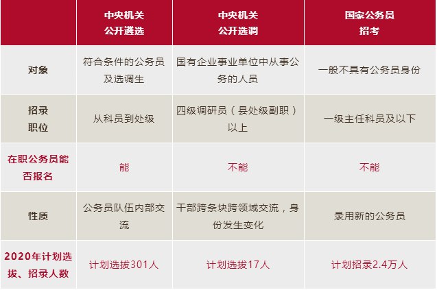 《遴选选调》精选优质内容，助力考生高效备考，涵盖政策解读、真题解析与实战技巧